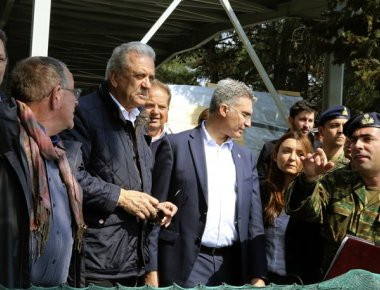 Δ. Αβραμόπουλος: «Η προσφυγική κρίση κατέδειξε την ανάγκη συλλογικής ευρωπαϊκής απάντησης»